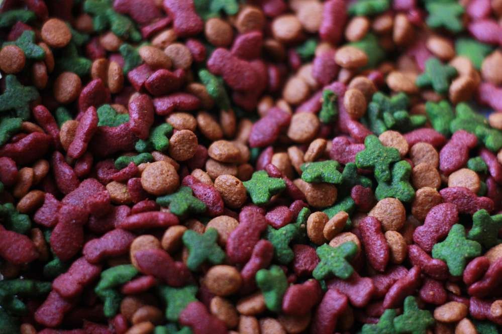 Homemade Pet Food Recipes for Cats 2 petvibeszone.com